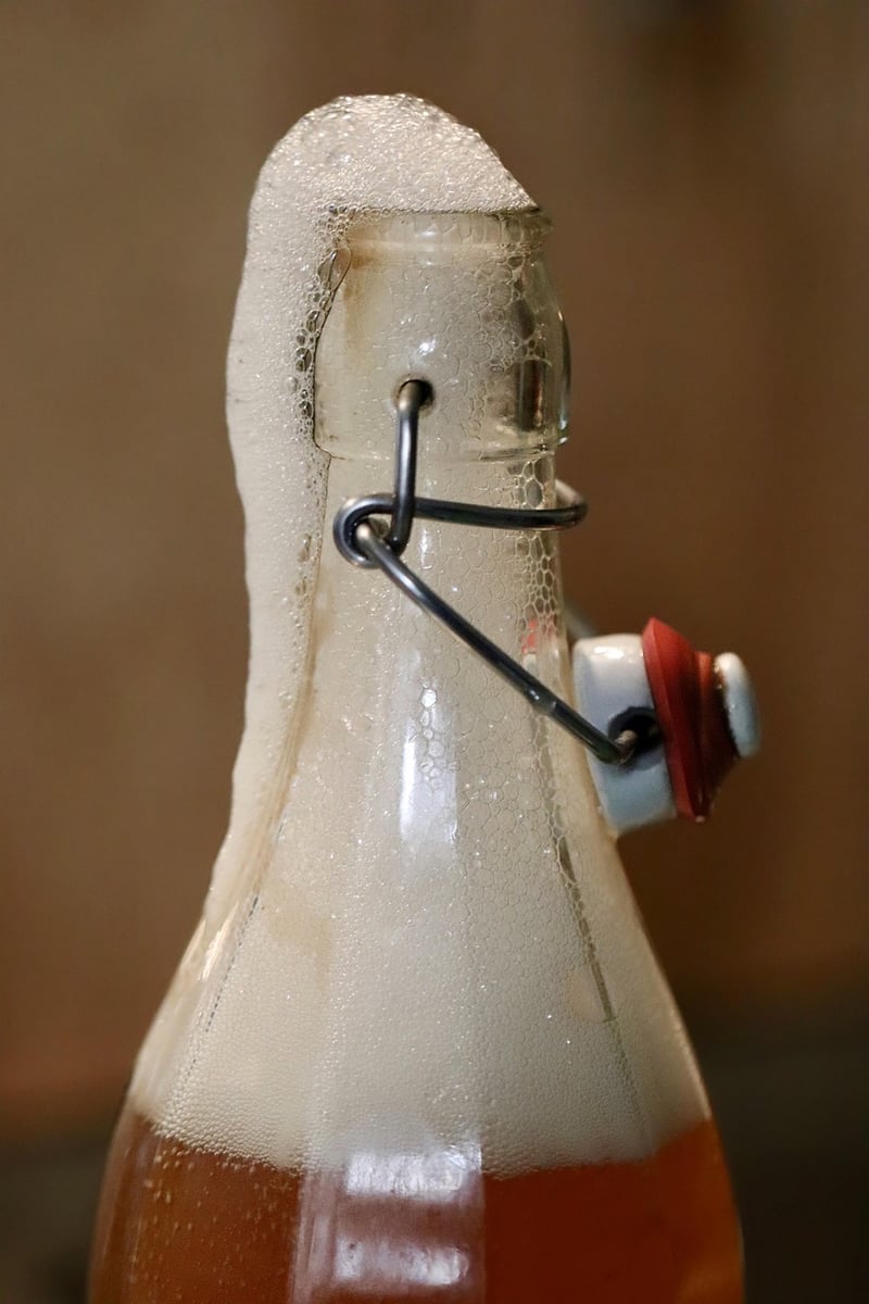 Kombucha